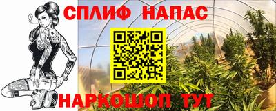 шишки Волгодонск