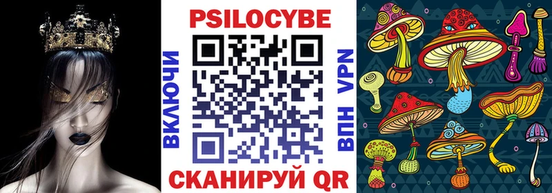 как найти закладки  Губкинский  Псилоцибиновые грибы GOLDEN TEACHER 