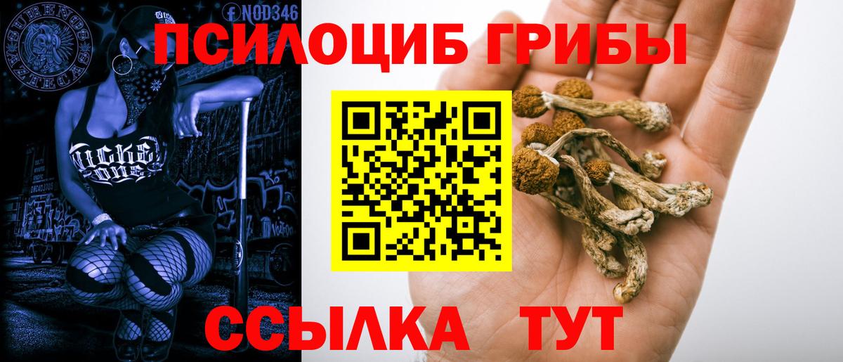 Псилоцибиновые грибы мухоморы  Вход с VPN  Губкинский  Галлюциногенные грибы мухоморы 