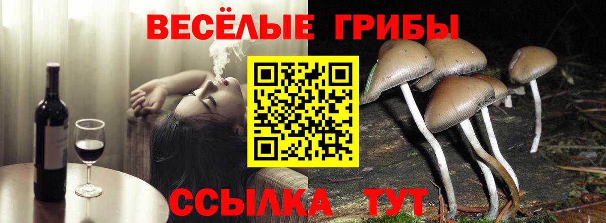 Псилоцибиновые грибы мицелий Губкинский